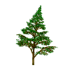 pineWHT.gif (9563 bytes)